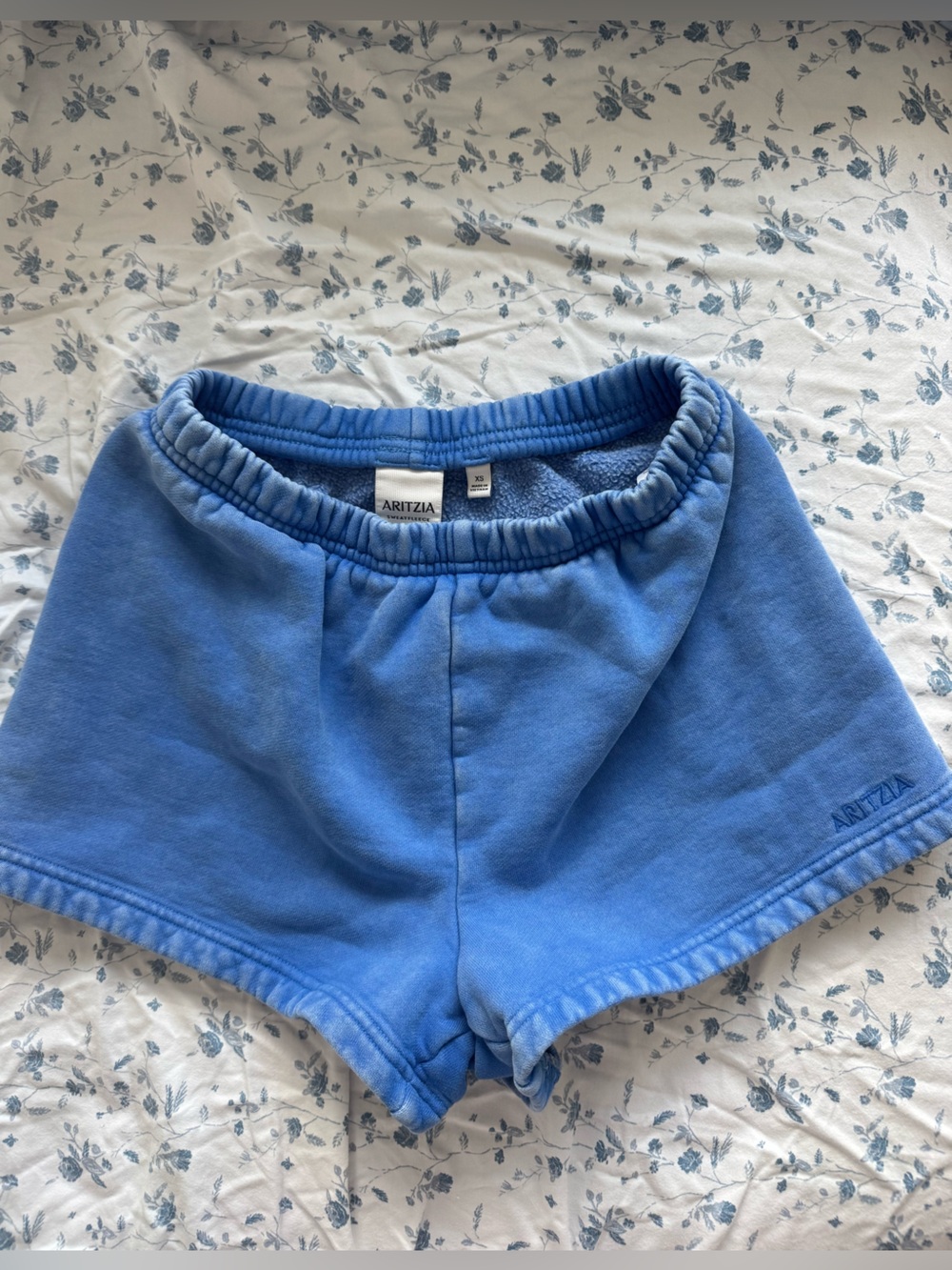 Aritzia Blue Sweat Fleece Shorts